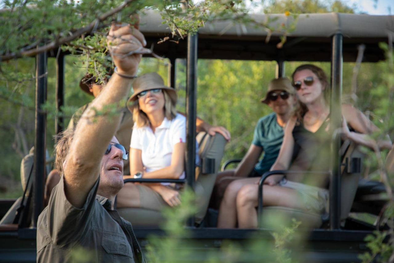 Parsons Hilltop Safari Camp Hotel Balule Game Reserve Exterior photo