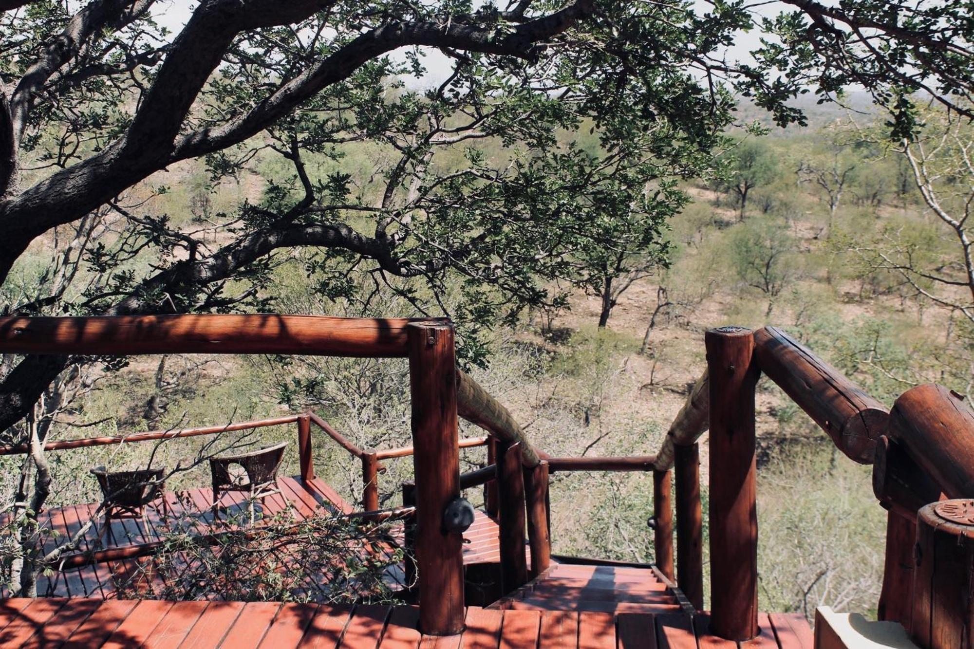 Parsons Hilltop Safari Camp Hotel Balule Game Reserve Exterior photo