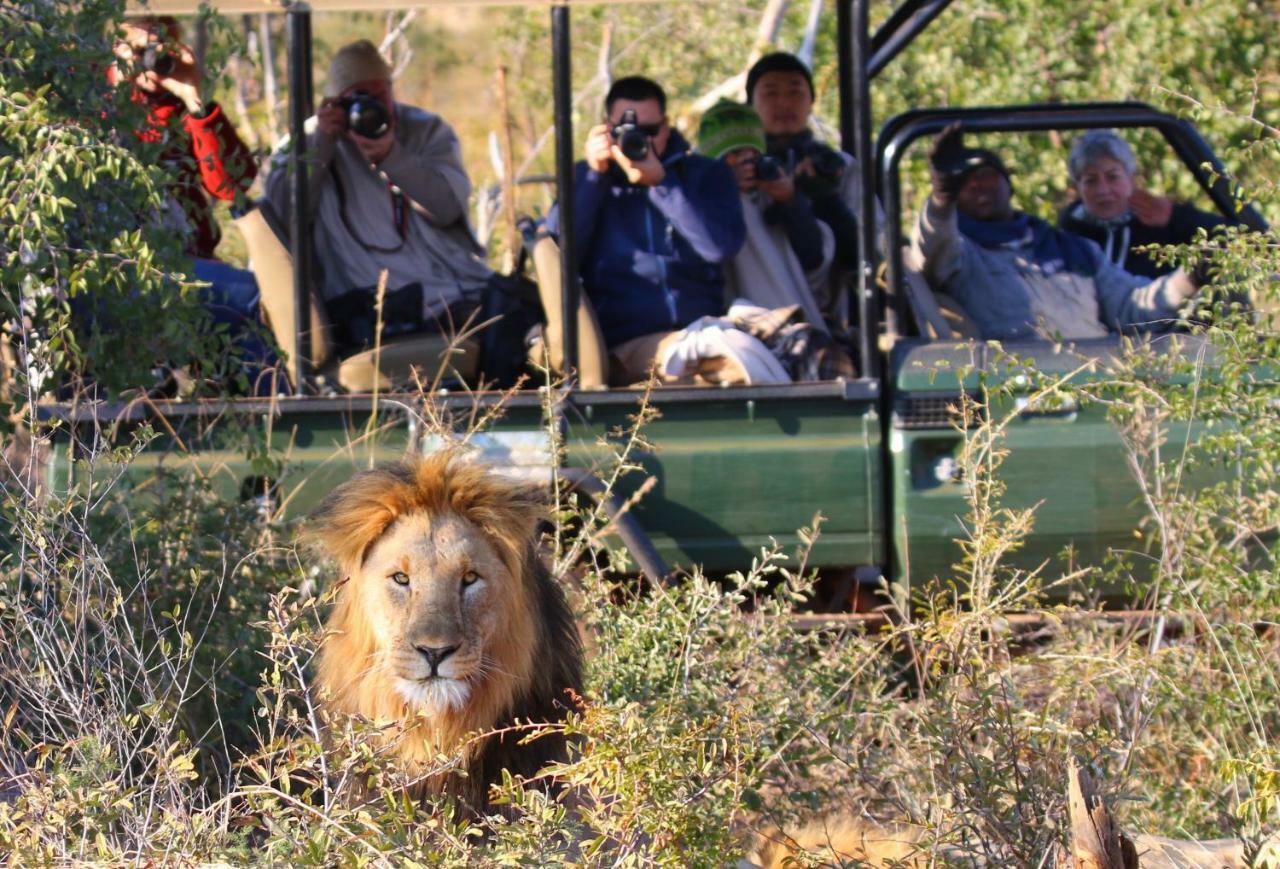 Parsons Hilltop Safari Camp Hotel Balule Game Reserve Exterior photo