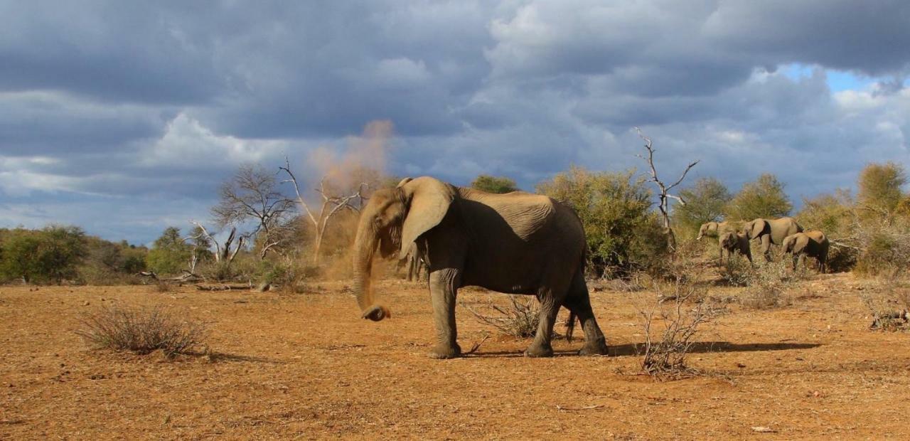 Parsons Hilltop Safari Camp Hotel Balule Game Reserve Exterior photo