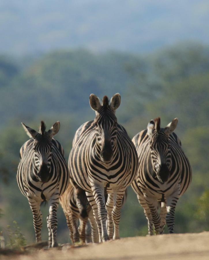 Parsons Hilltop Safari Camp Hotel Balule Game Reserve Exterior photo