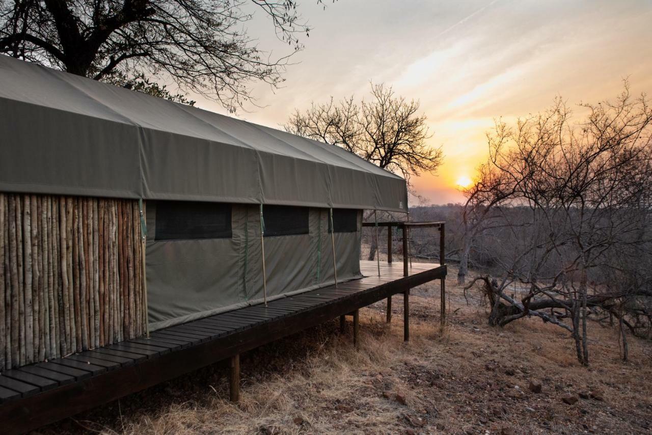 Parsons Hilltop Safari Camp Hotel Balule Game Reserve Exterior photo